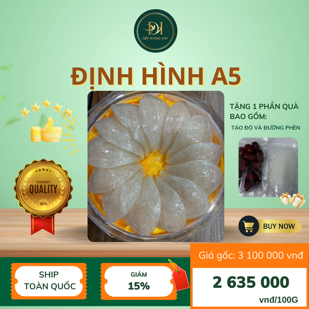 Yến Định Hình A5